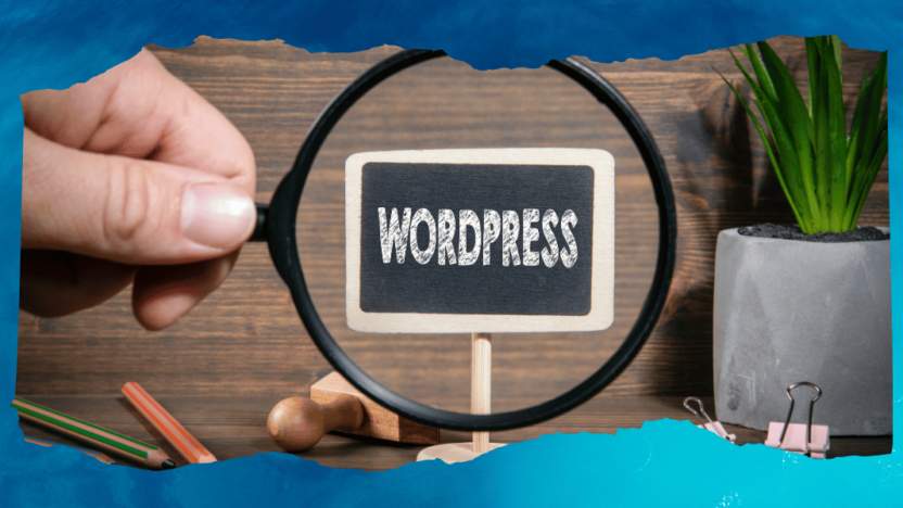 WordPress 6.6.1